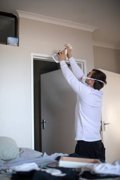 Best Mold Remediation for Rental Properties  in Adamsville, TN