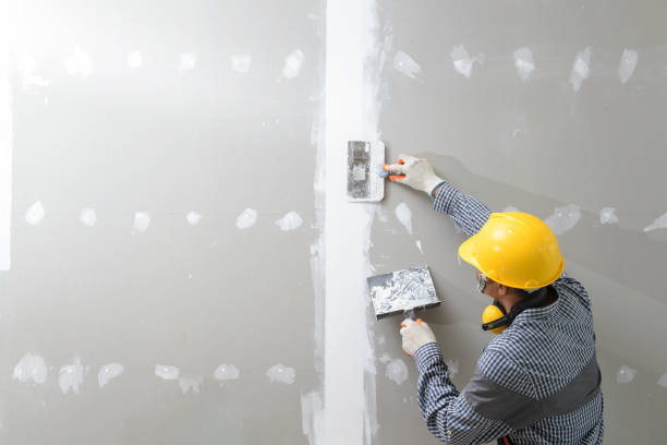 Best Mold-Related Health Consultation  in Adamsville, TN