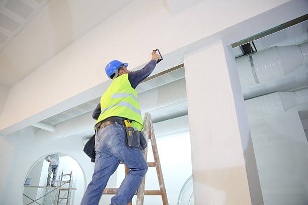 Best Mold Odor Removal Services  in Adamsville, TN