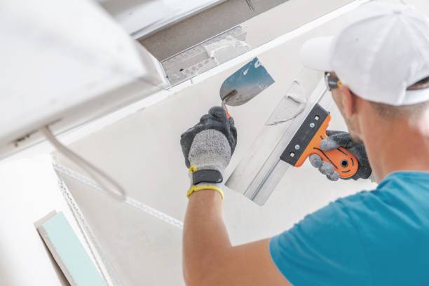 Best Forensic Mold Investigation  in Adamsville, TN